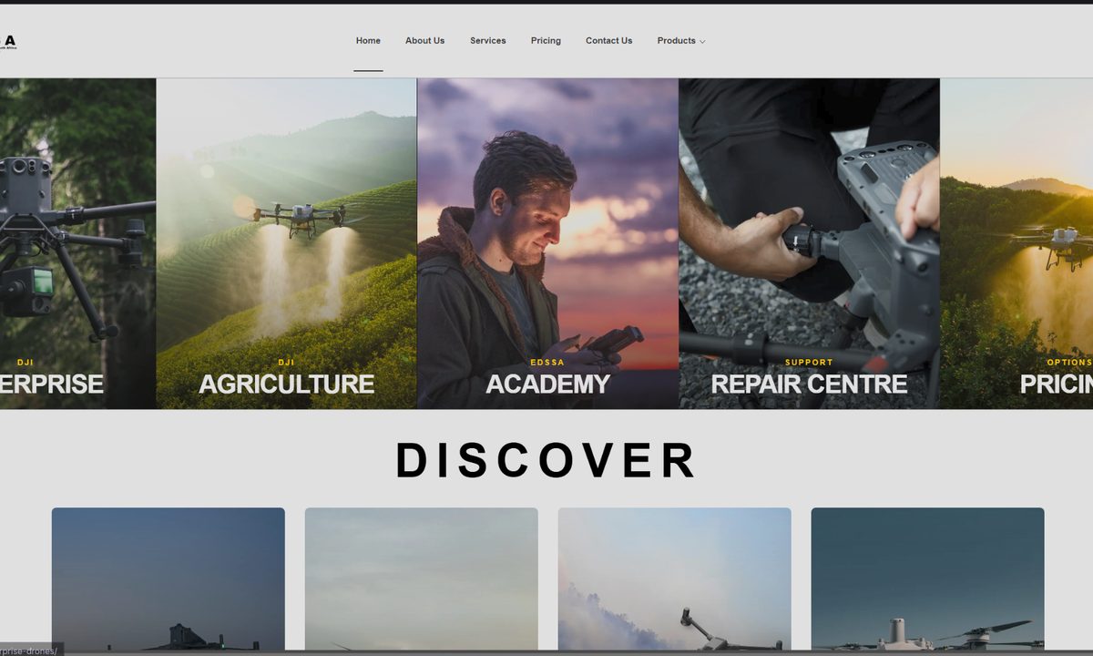 EDSSA website preview